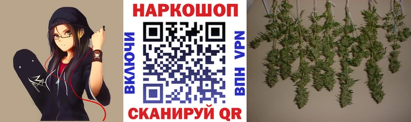 Как найти наркотики Гдов Alpha-PVP Мефедрон Каннабис