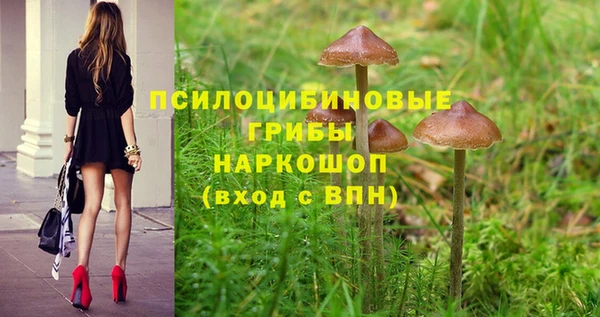 скорость mdpv Краснослободск