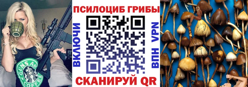 OMG Гдов darknet какой сайт Галлюциногенные грибы Cubensis
