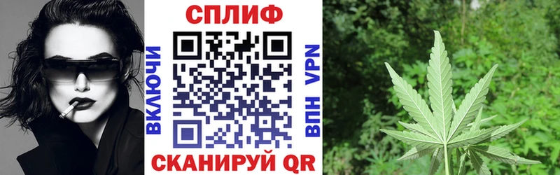 Конопля MAZAR Гдов